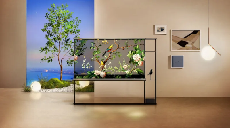 LG OLED T