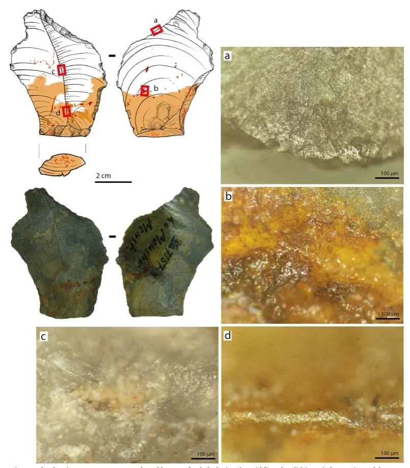 Neanderthal — Imagine 2 Chrome GnCL7ywQW4