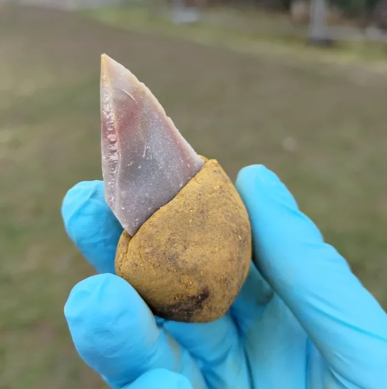 Neanderthal Oamenii de acum 40.000 de ani foloseau unelte sofisticate. De unde aveau tehnologia?
