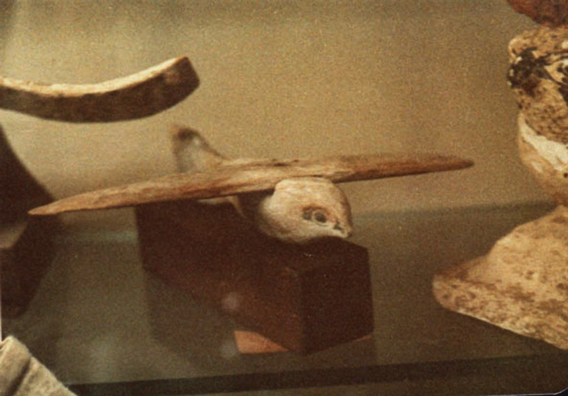 Saqqara Bird