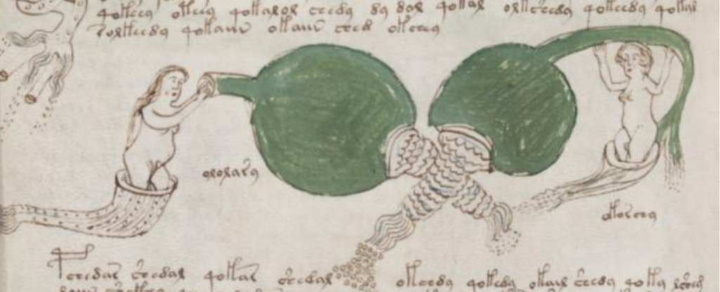 Voynich Misterul manuscrisului Voynich, decriptat? Ce au descoperit cercetătorii