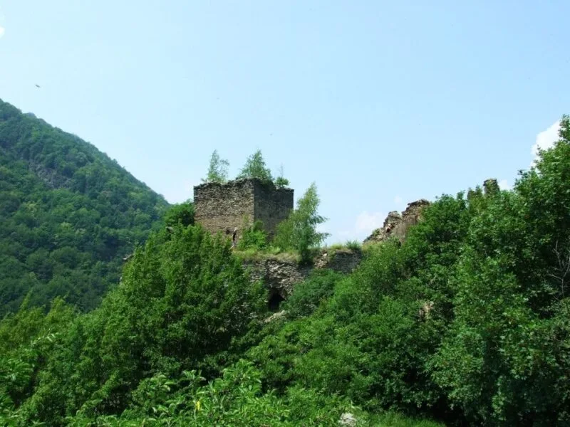 Castelul din Carpați