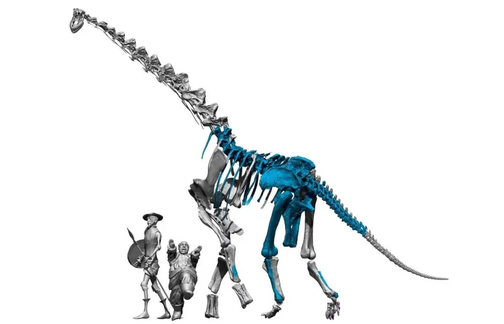 dinozaur Scheletul unui dinozaur necunoscut, gigantic, descoperit în Spania. Istoria, rescrisă?