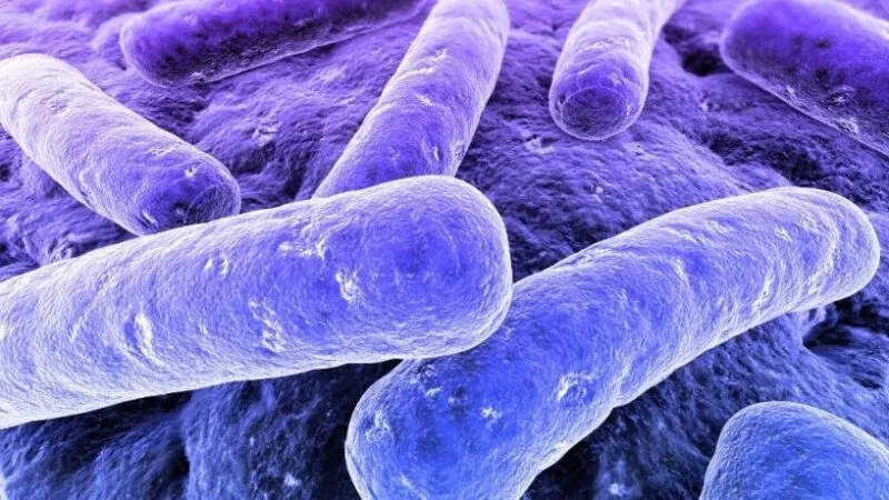 botulism