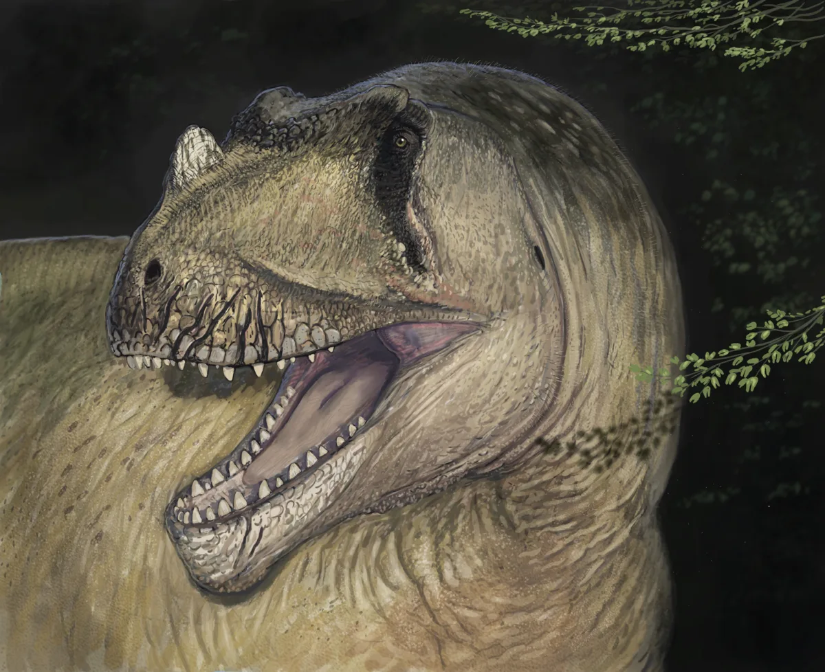 dinozaur dinozaur