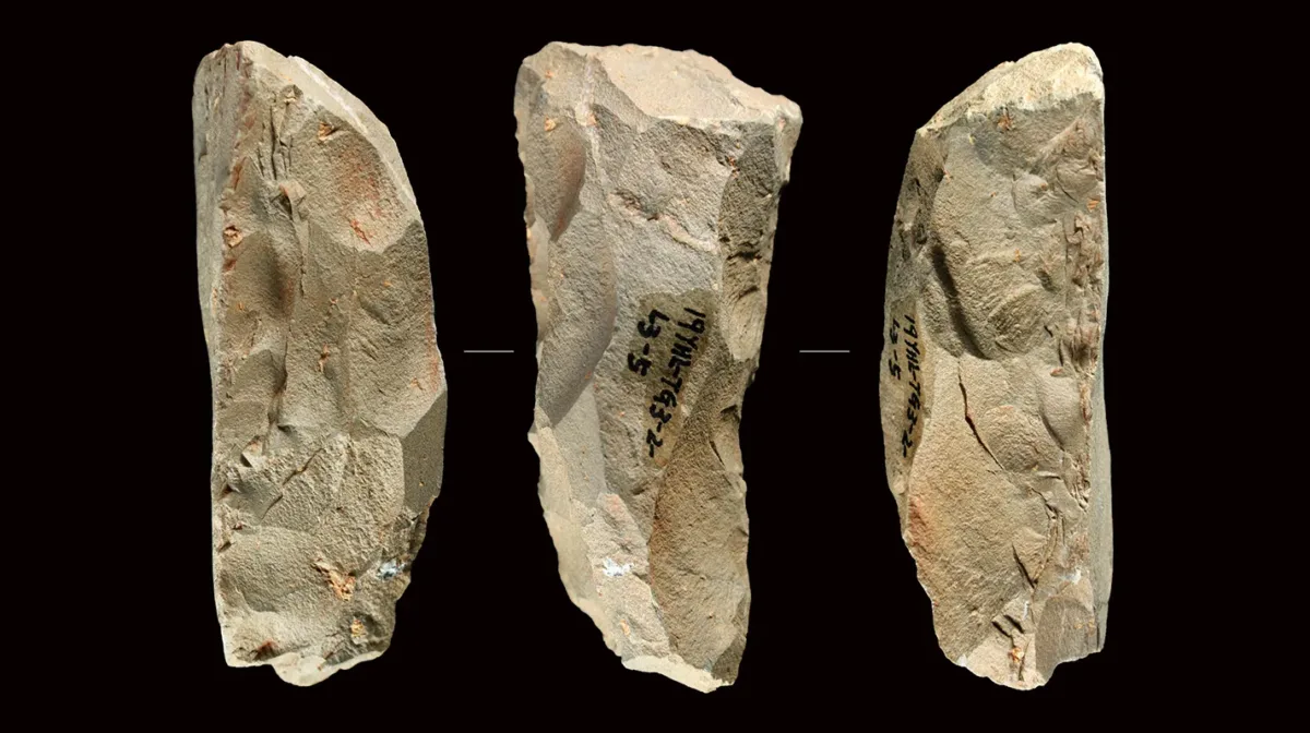 neanderthalieni neanderthalieni