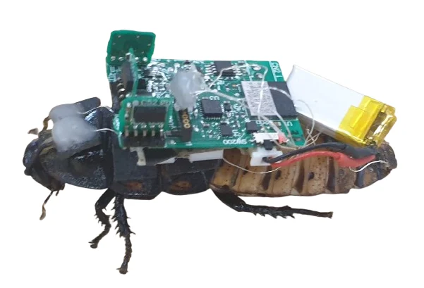 gândacii cyborg