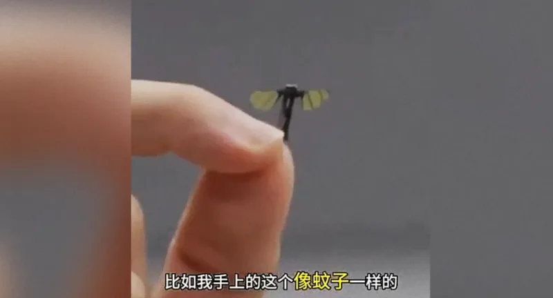 insecte spion