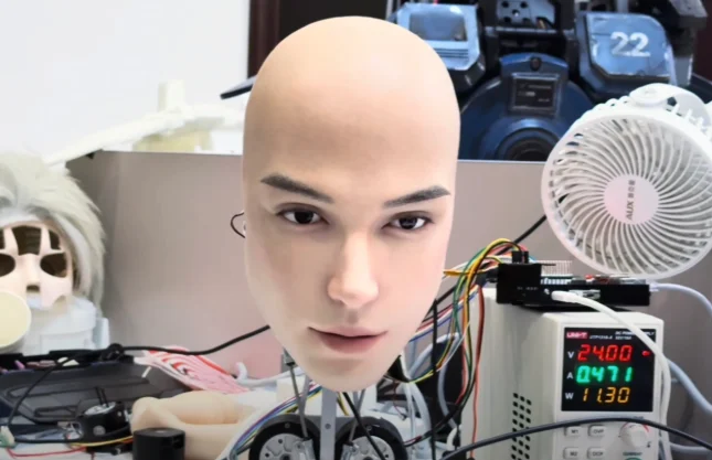 roboți umanoizi