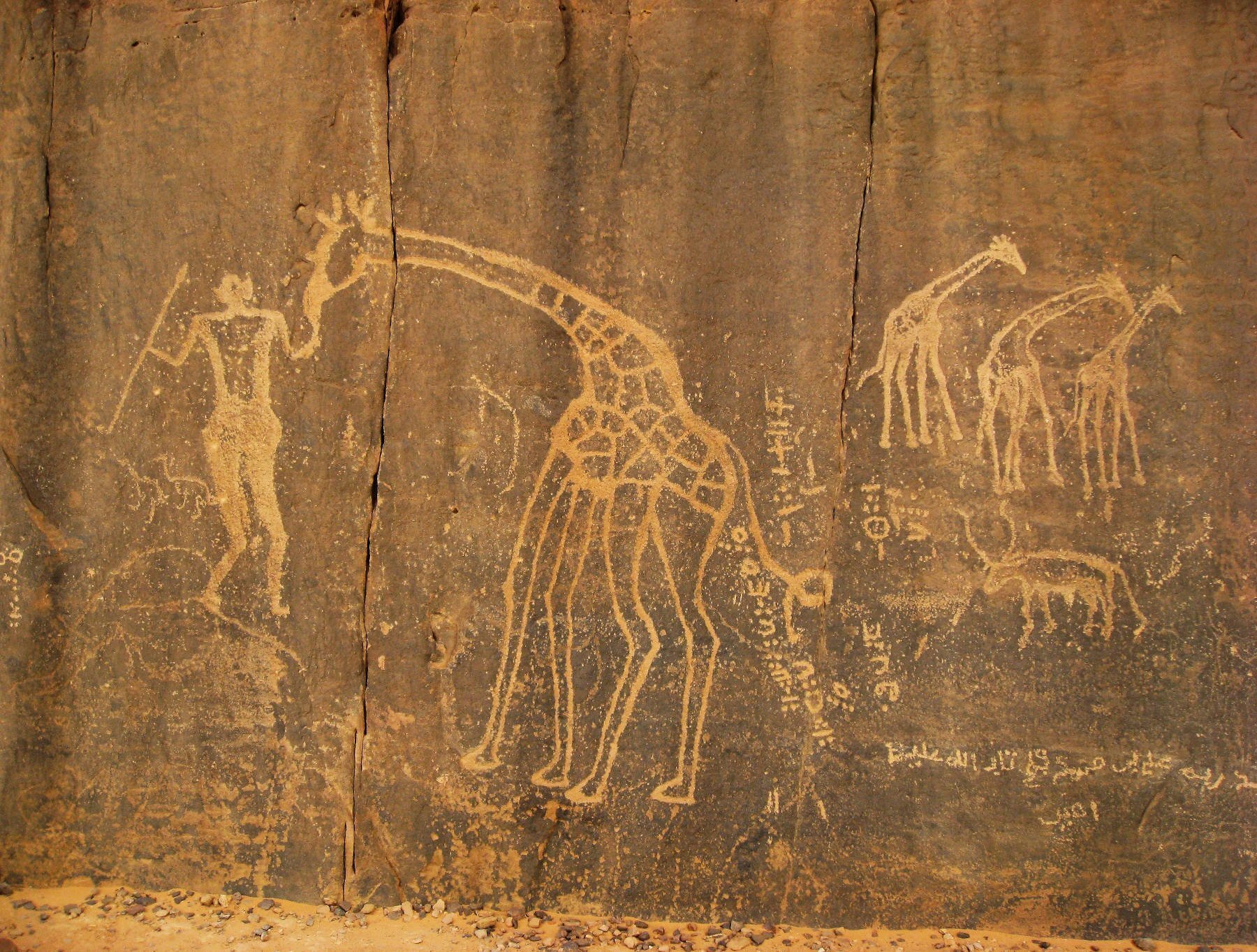 Tassili n'Ajjer