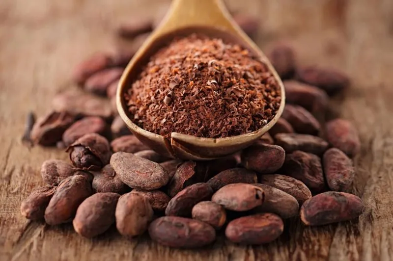 cacao
