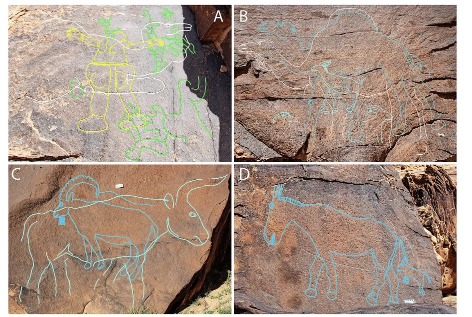 Descoperire incredibilă în Arabia Saudită: O specie necunoscută de oameni desena gravuri acum 12.000 de ani