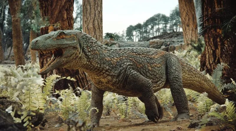 Tainrakuasuchus bellator