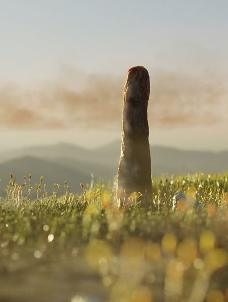 Rangeomorfe