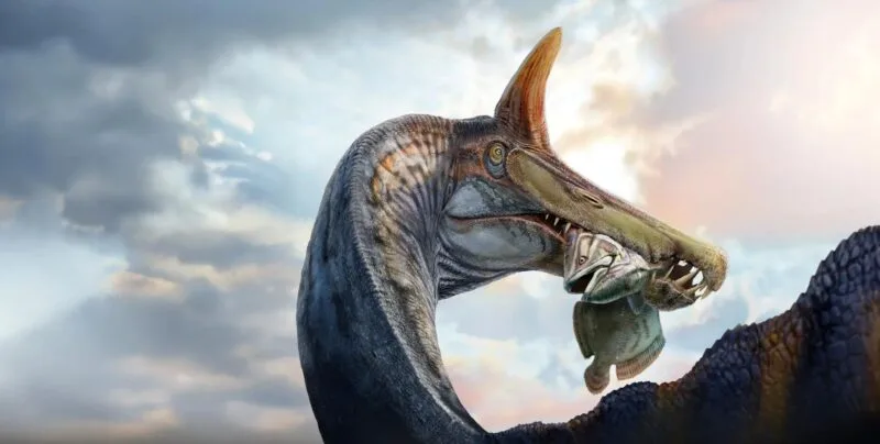 Noul Spinosaurus mirabilis din Sahara rescrie istoria dinozaurilor