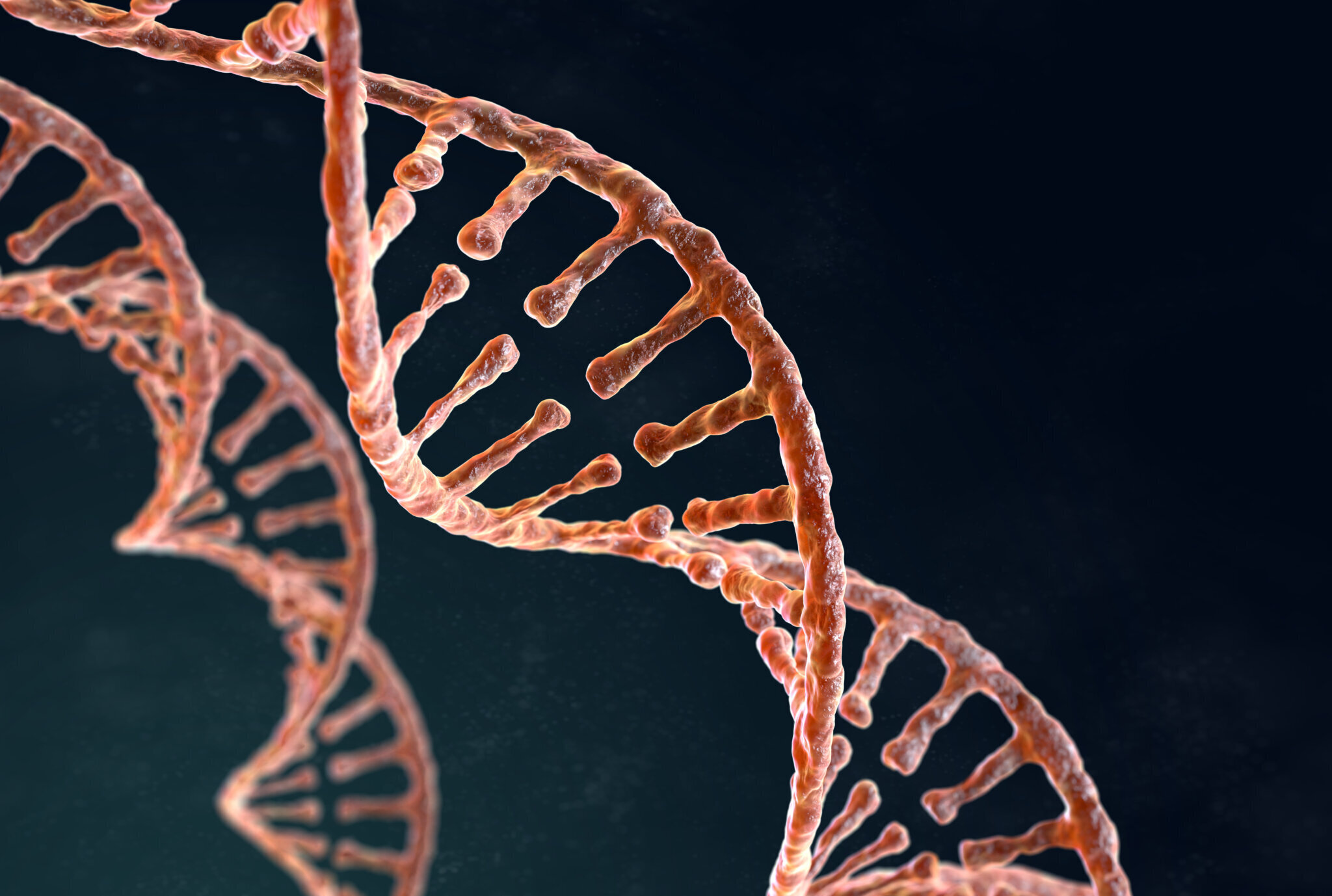 cod genetic