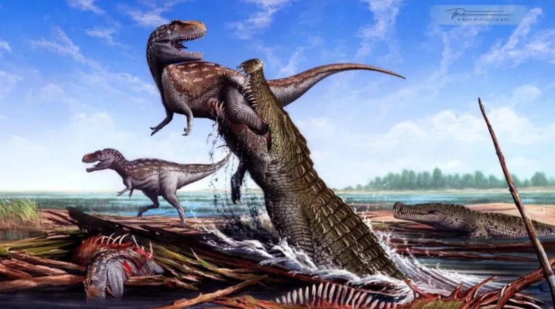 Deinosuchus schwimmeri