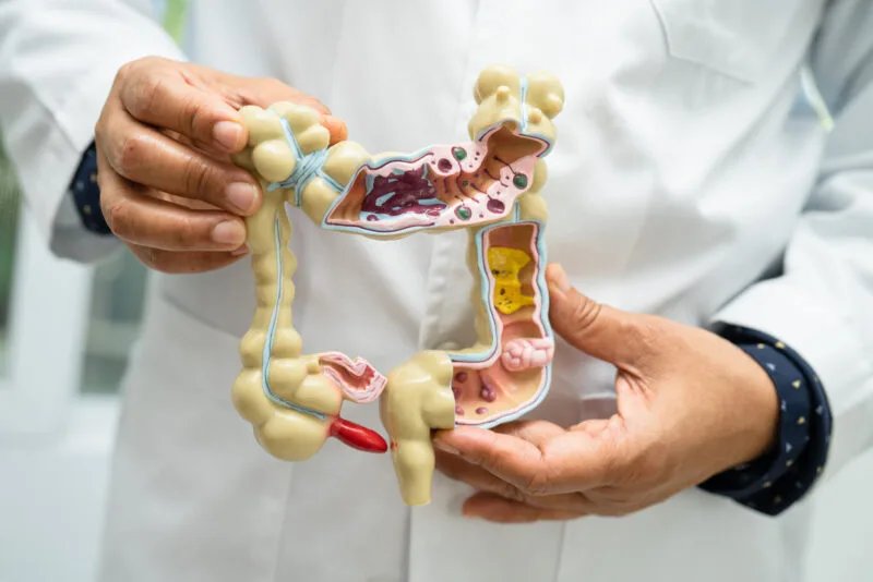 Misterul poftelor alimentare: Cum decid bacteriile din intestin ce vrei să mănânci