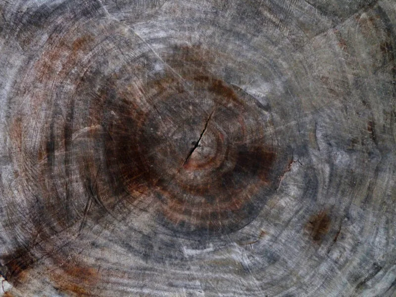 Old texture of wood 01 11 10 41 40 utc