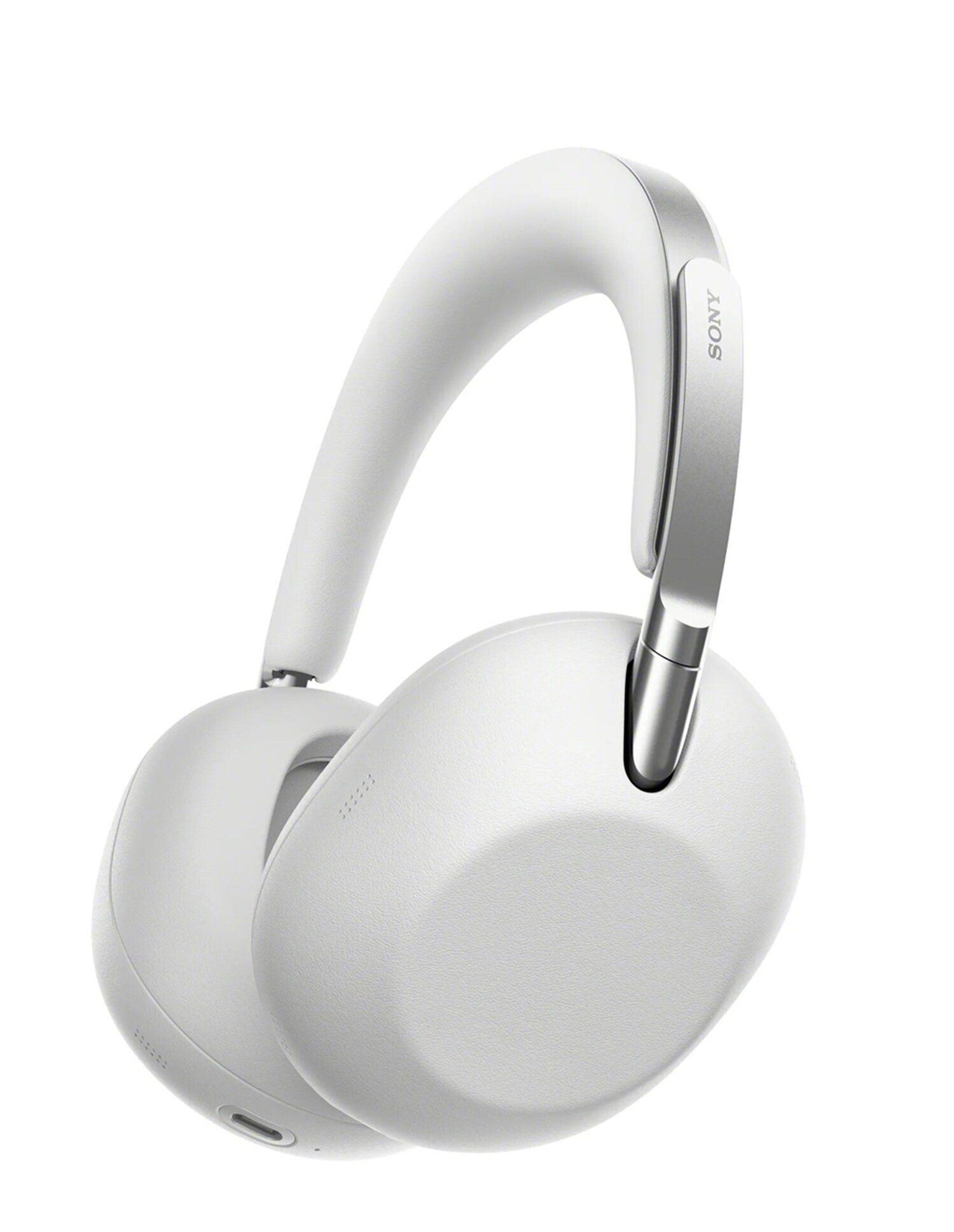 Sony 1000X THE COLLEXION X THE COLLEXION standard1 platinum Large 1