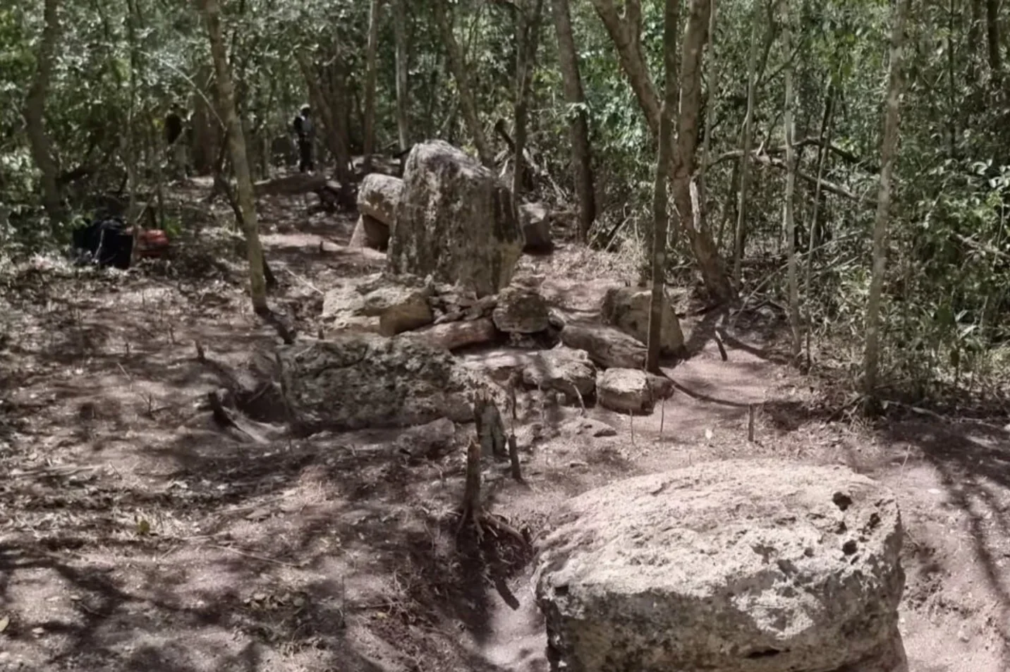 oras maya descoperit in jungla