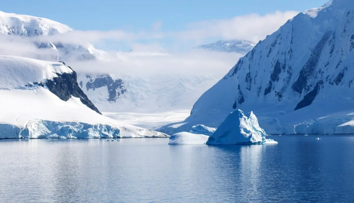 Antarctica Antarctica