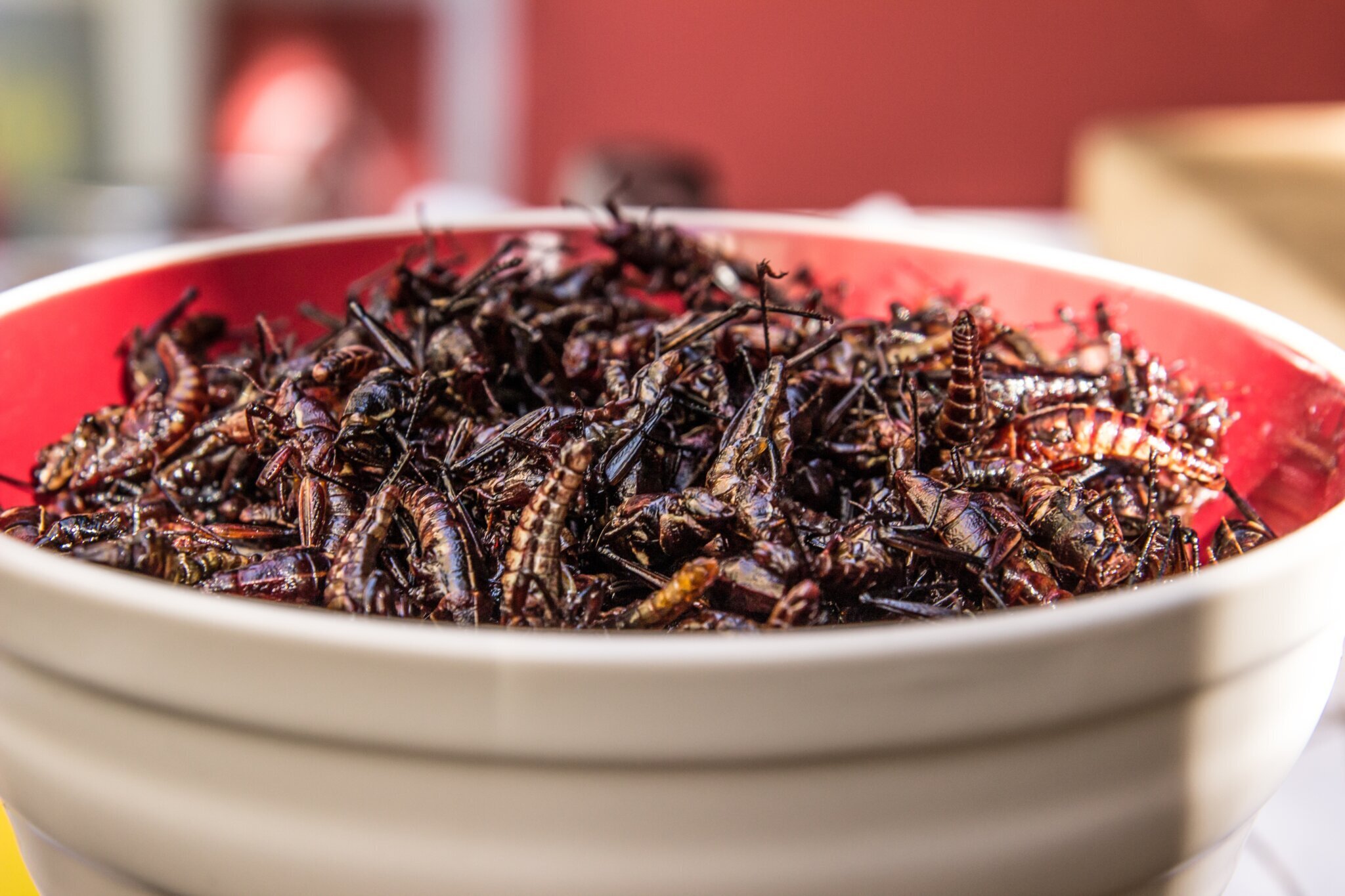 consum insecte