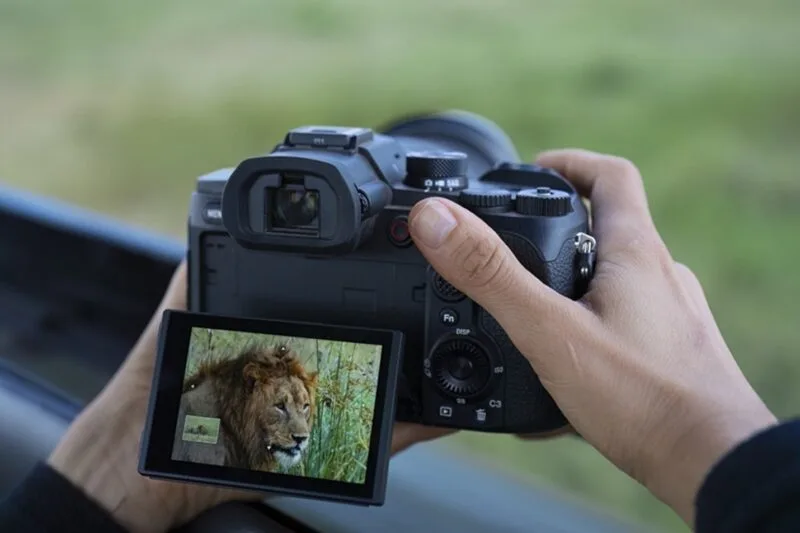 RX10 V 2 1