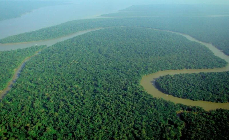 Vedere aeriană asupra pădurii amazoniene și a meandrelor râului Solimoes