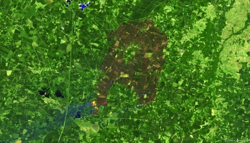 Incendiu de vegetație în regiunea Gironde, lângă Bordeaux, Franța