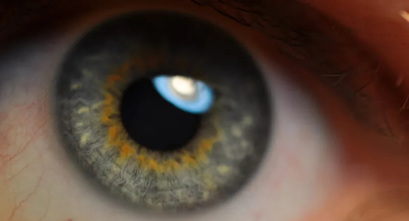 Fotografie macro a unui ochi uman, cu iris și pupilă vizibile, ilustrând ochiul modern capabil să formeze imagini