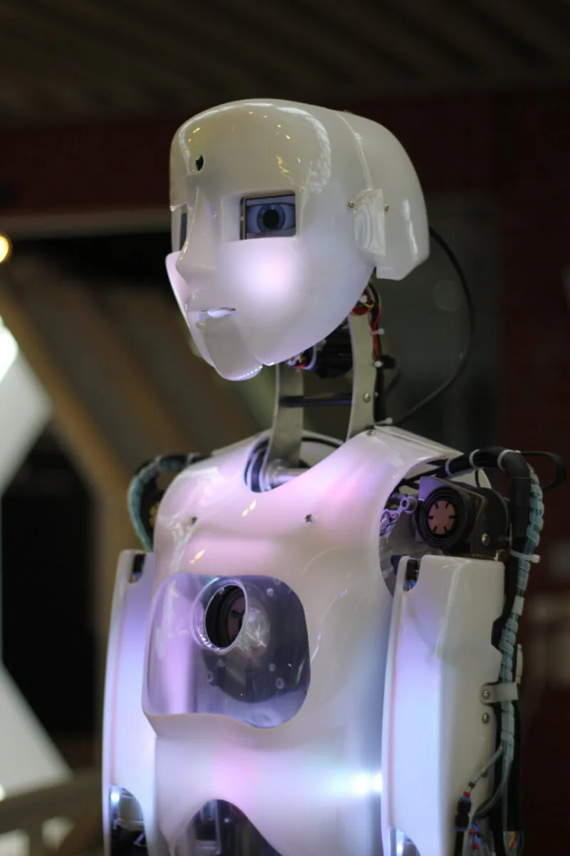 Robot umanoid, categorie vizată de interdicția SUA