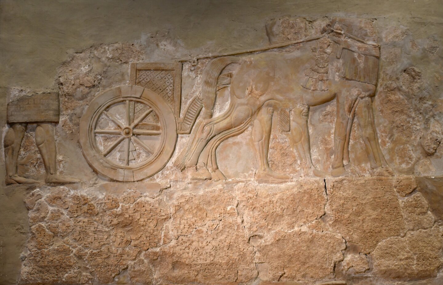 Relief asirian cu un car de luptă descoperit la Khorsabad, în Irak