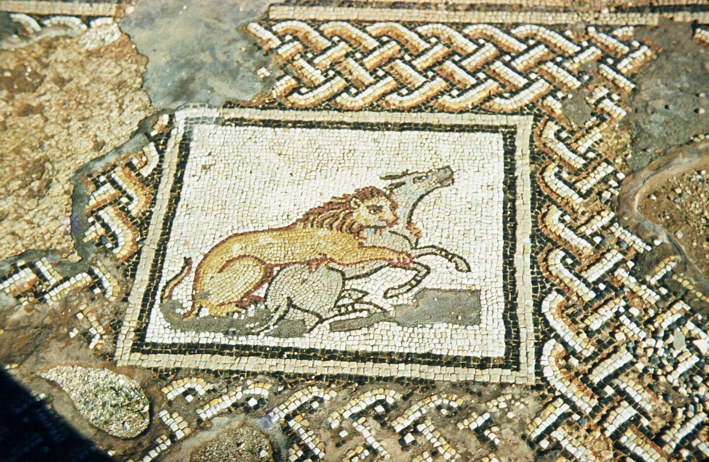 Ruinele Vilei celor Patru Anotimpuri din Ptolemais, orașul unde se află Poarta Tauchira