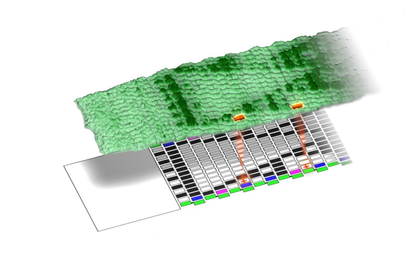 Computer din ADN: model 3D al auto-asamblării plăcuțelor de ADN pe un schelet molecular