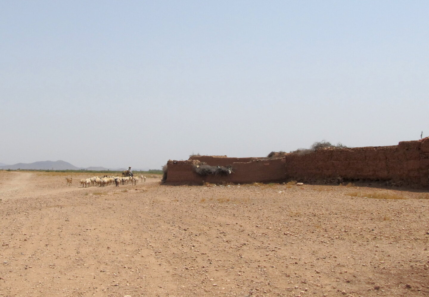 Teren uscat cu vegetație rară în Maroc, tipul de peisaj în care se transformă noile zone aride