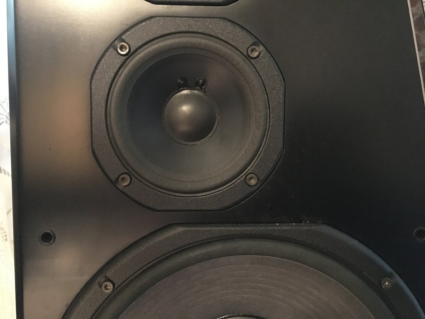 Prim-plan cu un difuzor de medii JBL de 130 mm dintr-o incintă acustică