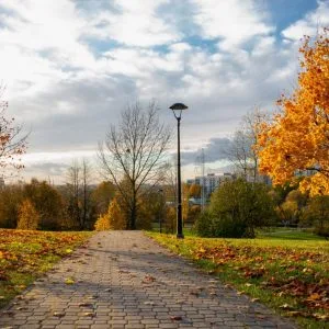 echinocțiul de toamnă Echinocțiul de toamnă 2026: ora exactă și cinci ritualuri de început