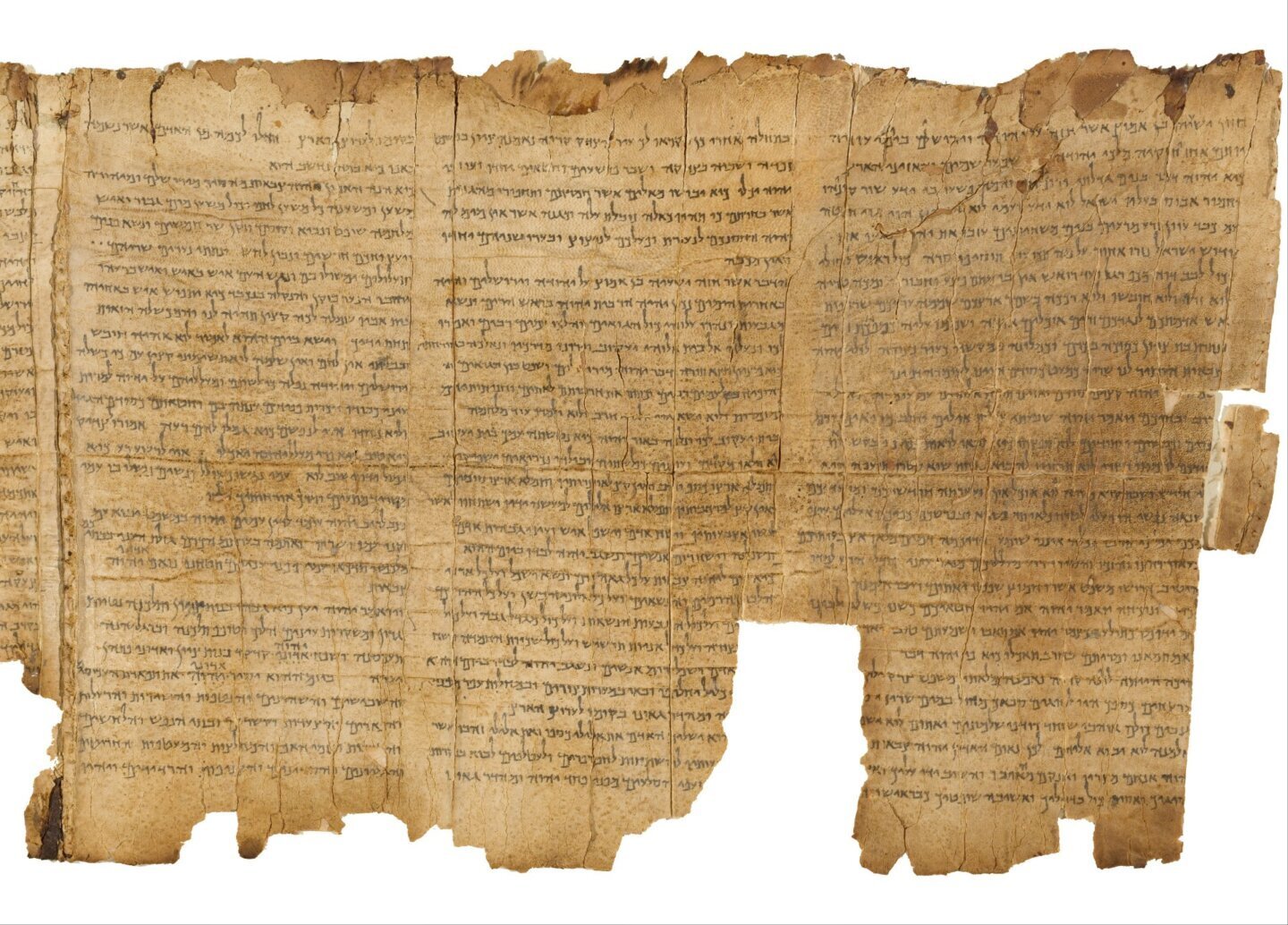 Fragment din Sulul Templului, manuscris pe pergament găsit la Qumran