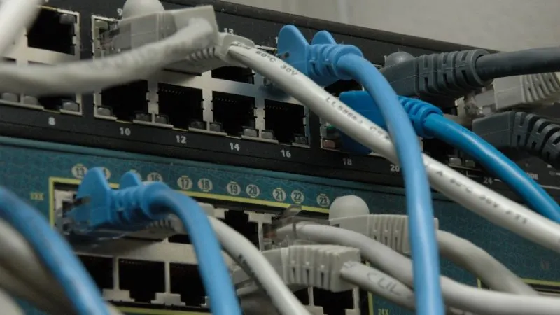 Cabluri Ethernet albastre și albe conectate în porturile mai multor switch-uri de rețea montate în rack