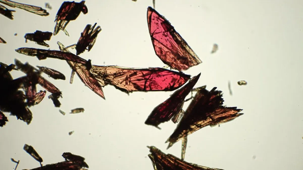 hidrogen din apă Monocristale de rețele metal-organice văzute la microscop