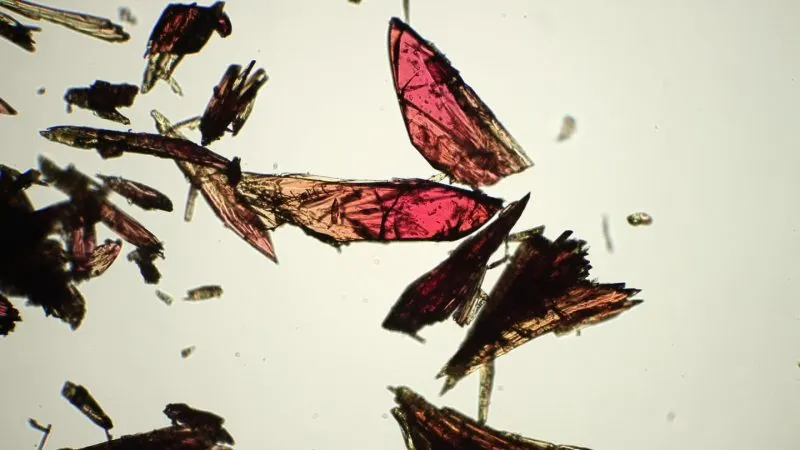 Monocristale de rețele metal-organice văzute la microscop